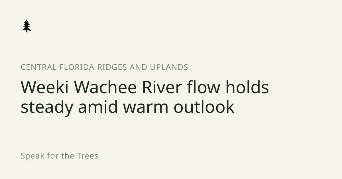 Weeki Wachee River flow holds steady amid warm outlook — Speak for the ...